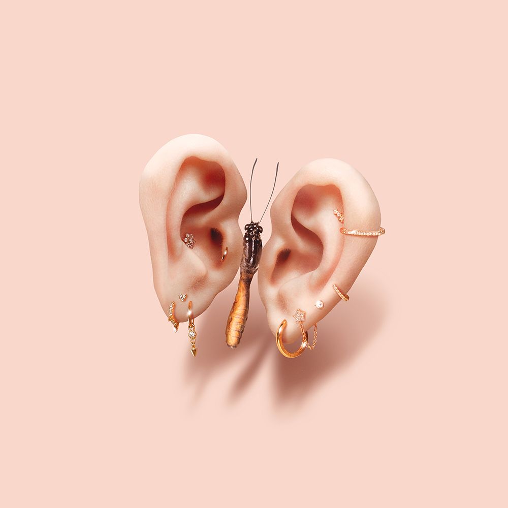 Butterfly Ears art print by Artem Pozdniakov for $57.95 CAD
