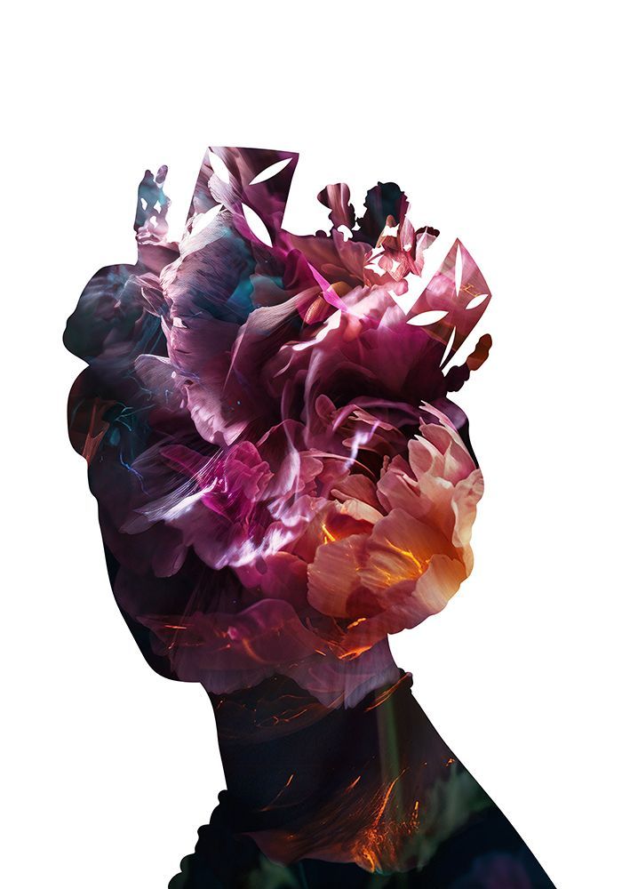 Queen Elizabeth Abstract Flowers art print by Sarah Manovski for $57.95 CAD