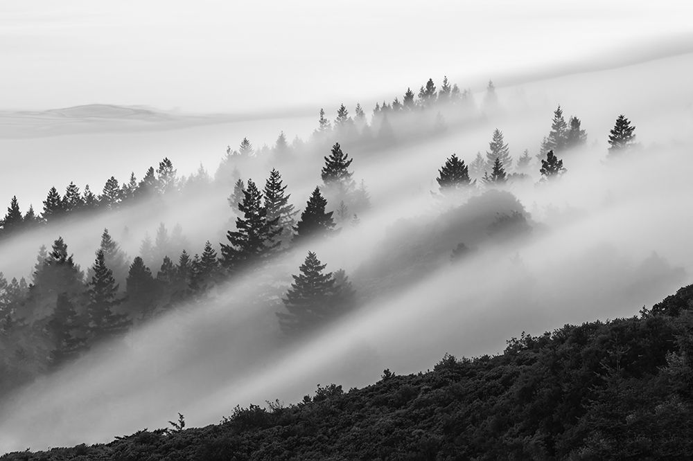 Flowing Fog art print by Ryan Li for $57.95 CAD