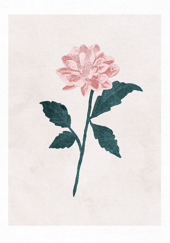 Dahlia art print by Goed Blauw for $57.95 CAD