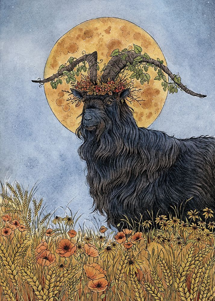 Where the Summer Dies art print by Lea Chaillaud for $57.95 CAD