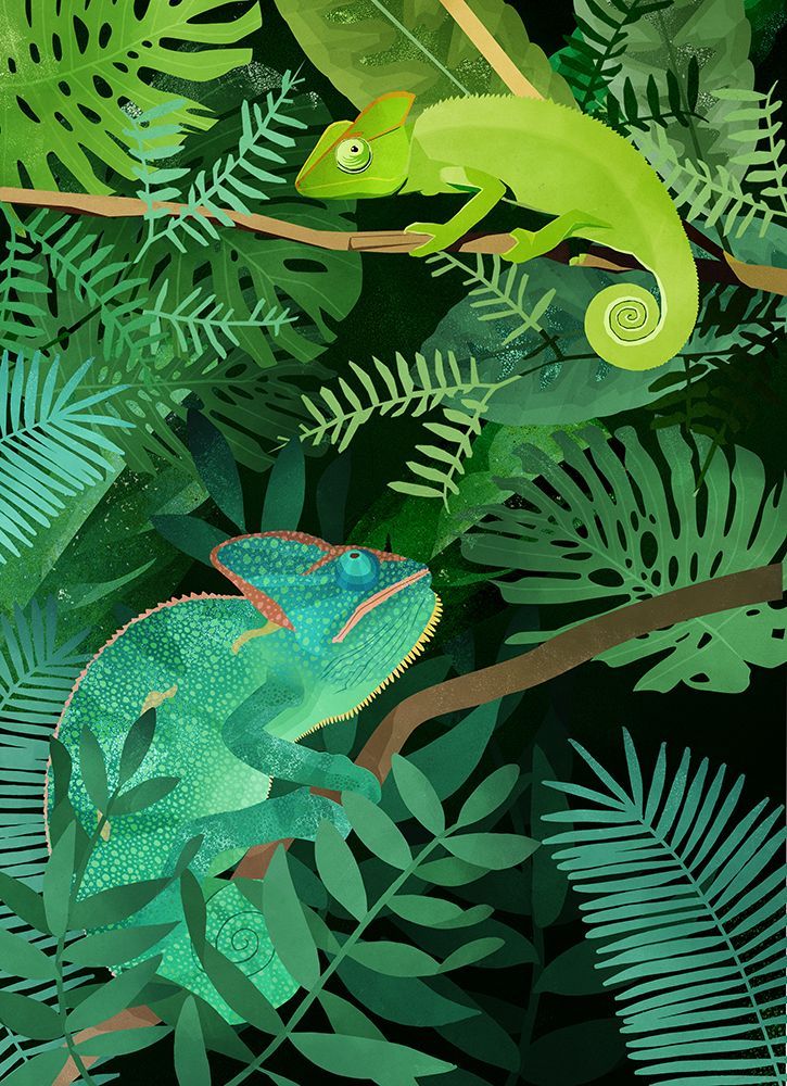 Chameleons art print by Goed Blauw for $57.95 CAD