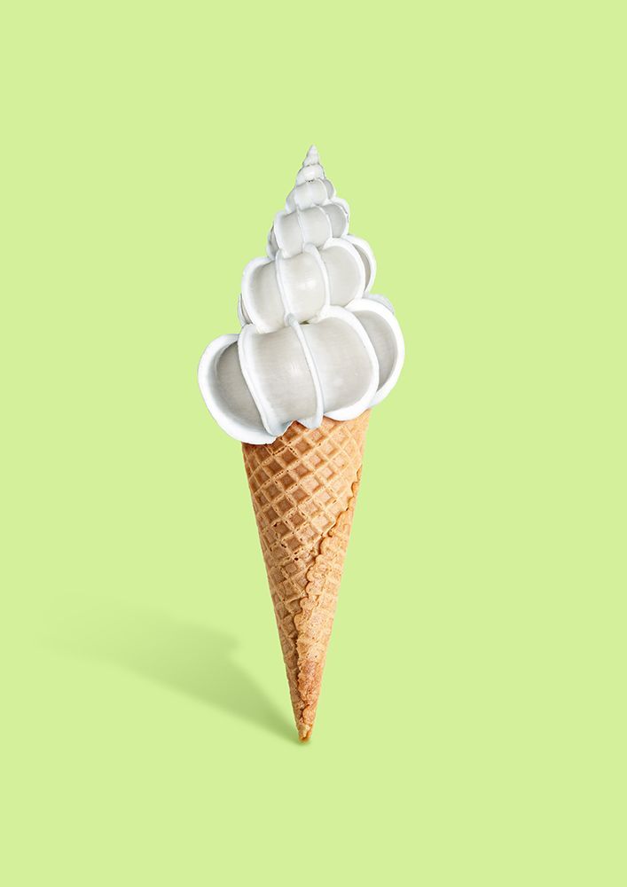 Shell cream art print by Artem Pozdniakov for $57.95 CAD