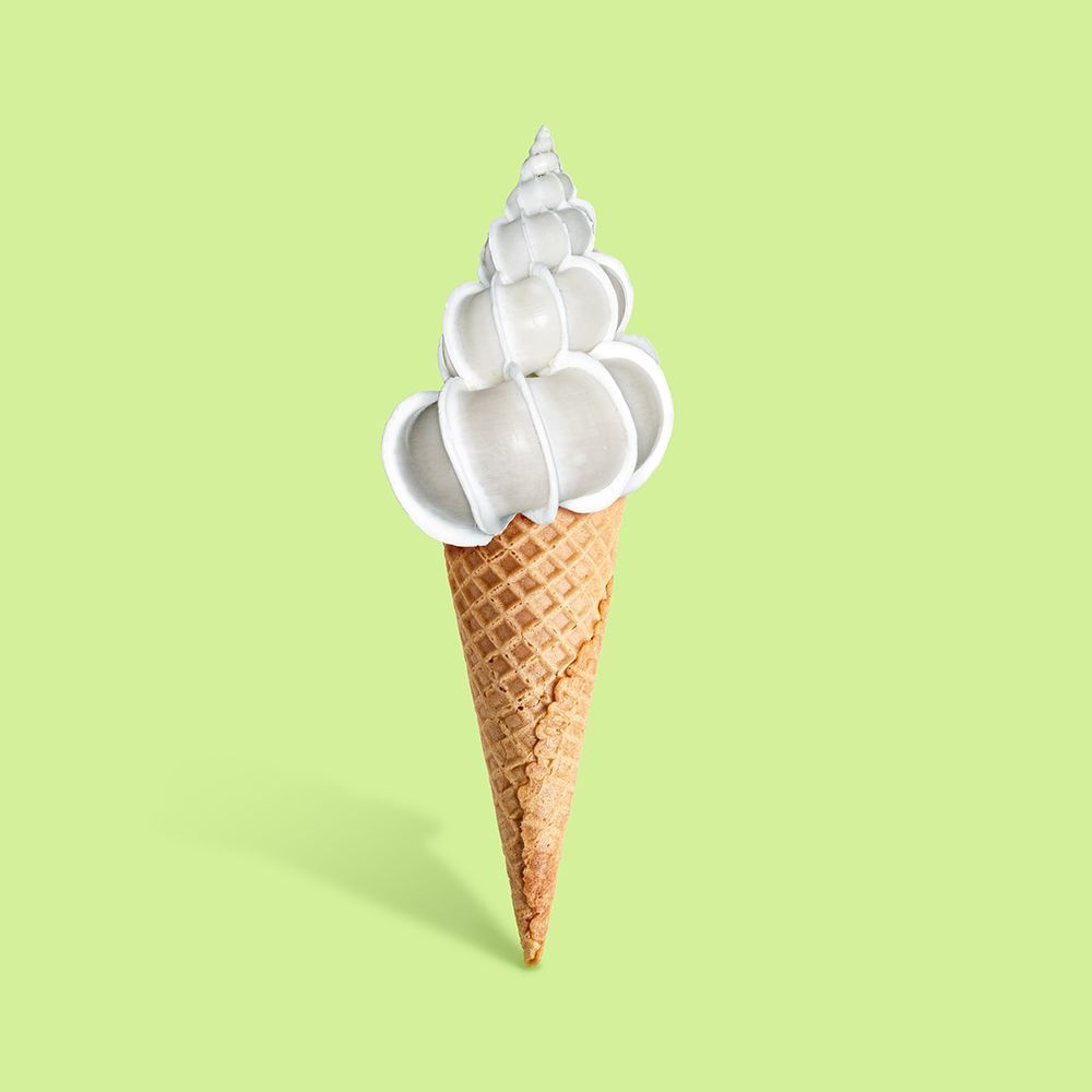 Shell cream art print by Artem Pozdniakov for $57.95 CAD