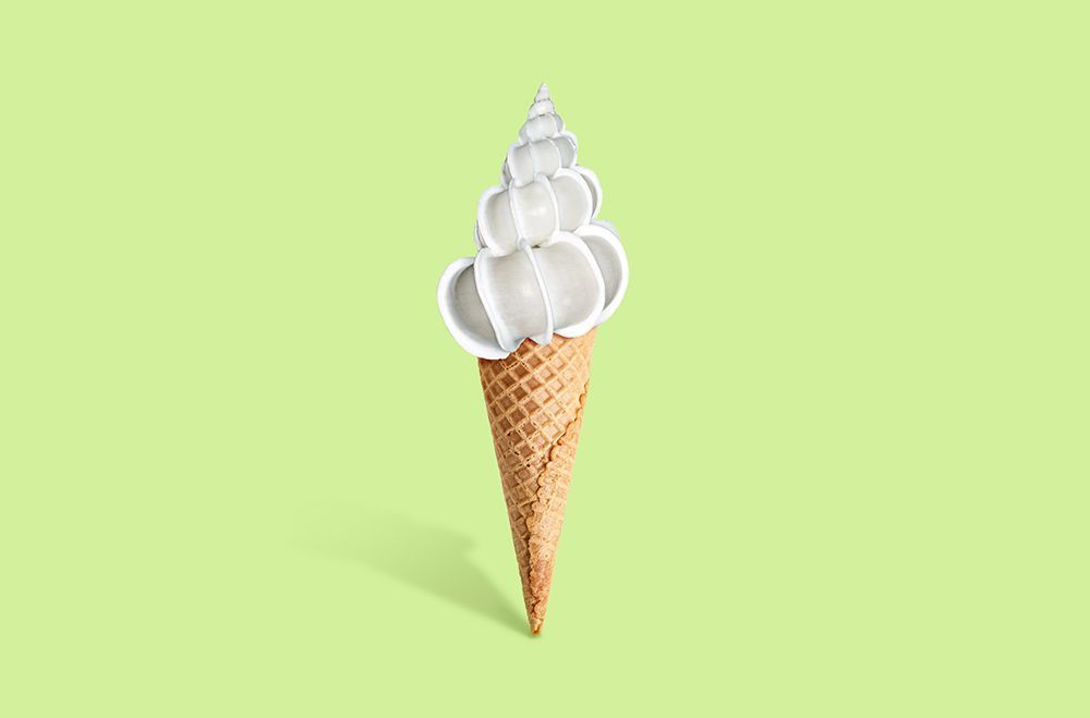 Shell cream art print by Artem Pozdniakov for $57.95 CAD