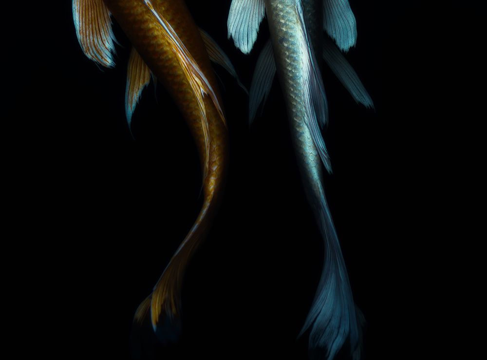 A Couple art print by Satoshi Hatsumori for $57.95 CAD