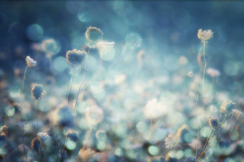 Diamonds art print by Stefan Eisele for $57.95 CAD