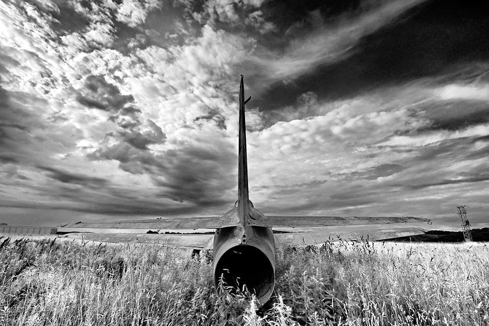 Tail art print by Bojan Bencic for $57.95 CAD