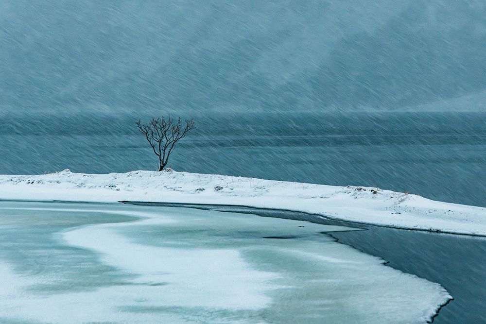 Arctic Simphony art print by Adrian Popan for $57.95 CAD