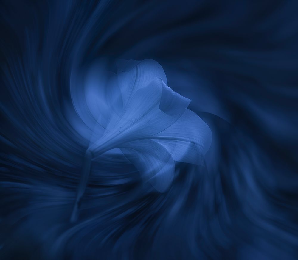 Lily Rhythm art print by Judy Tseng for $57.95 CAD