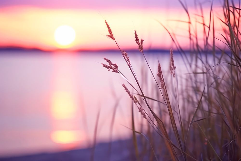 Purple Sunset art print by Treechild for $57.95 CAD