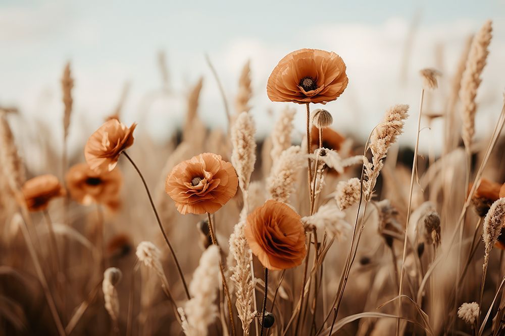 Orange Poppy Field art print by Treechild for $57.95 CAD