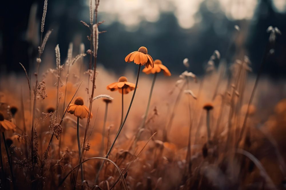 Orange Margarites art print by Treechild for $57.95 CAD