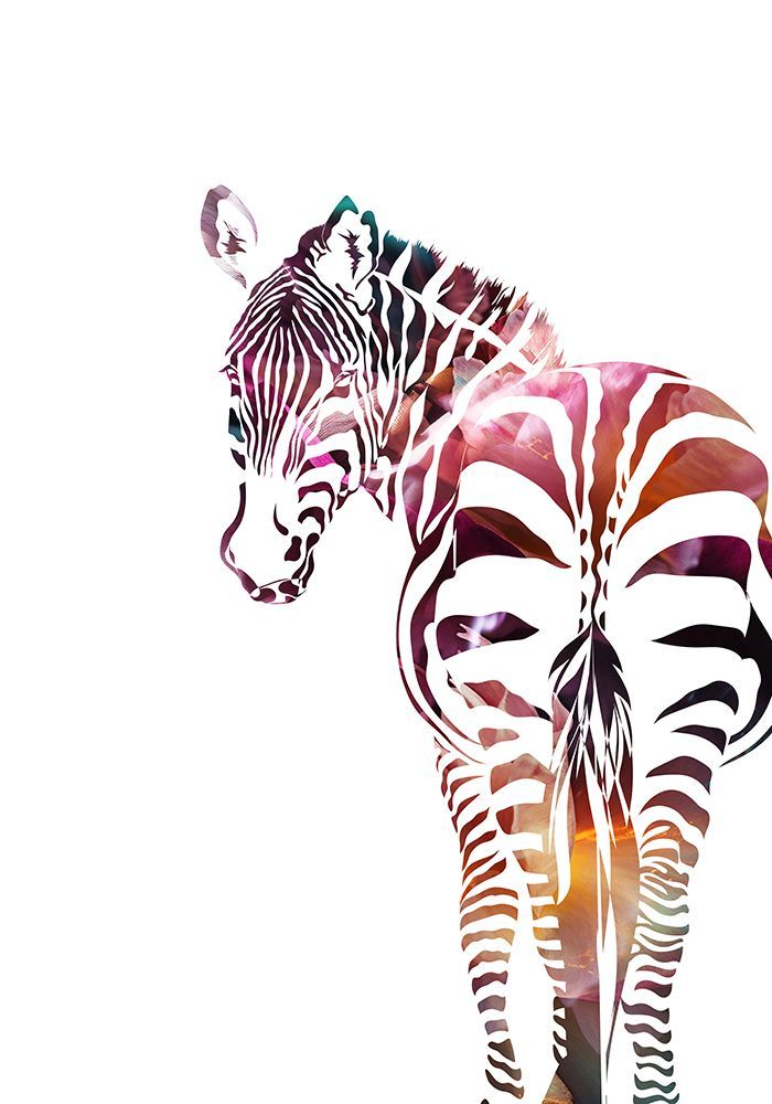 Zebra Silhouette art print by Sarah Manovski for $57.95 CAD