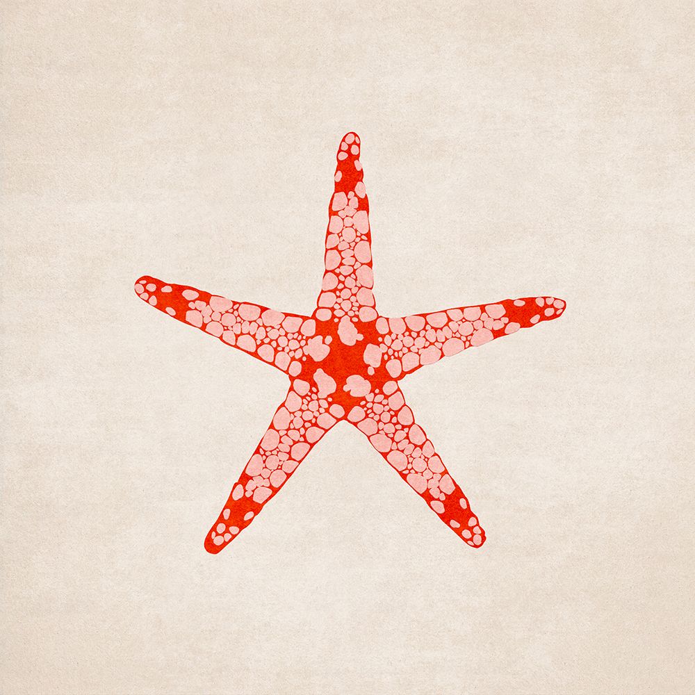 Sea Star art print by Emel Tunaboylu for $57.95 CAD