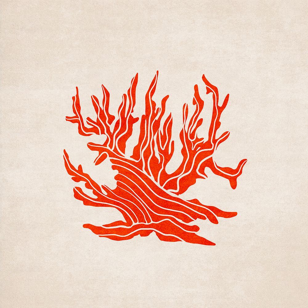 Coral art print by Emel Tunaboylu for $57.95 CAD