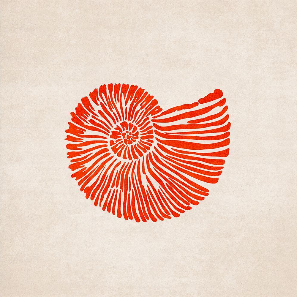 Shell art print by Emel Tunaboylu for $57.95 CAD