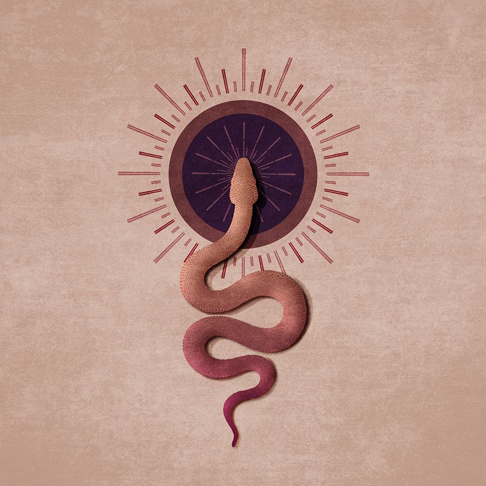 Sun Snake art print by Emel Tunaboylu for $57.95 CAD