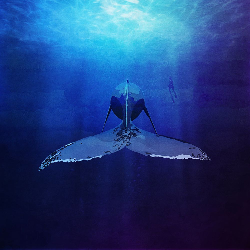 Whale art print by Emel Tunaboylu for $57.95 CAD