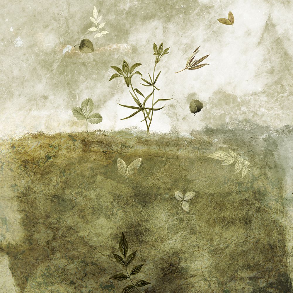 Olive art print by Emel Tunaboylu for $57.95 CAD