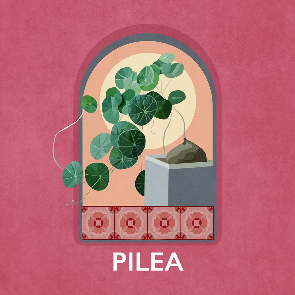 Green Sets Pilea art print by Emel Tunaboylu for $57.95 CAD