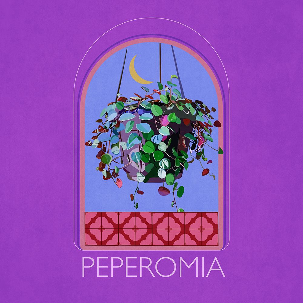 Green Sets Peperomia art print by Emel Tunaboylu for $57.95 CAD