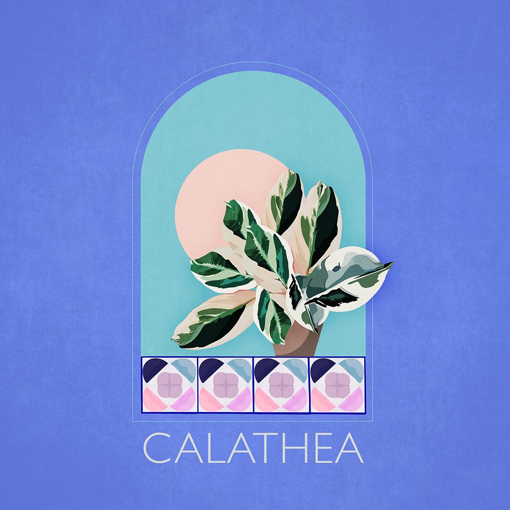 Green Sets Calathea art print by Emel Tunaboylu for $57.95 CAD