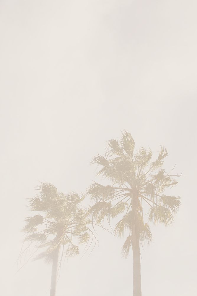 Beige Palms art print by Oju Design for $57.95 CAD