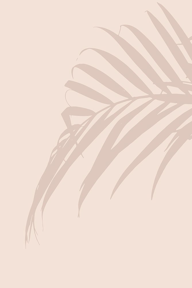 Palm Leaf art print by Oju Design for $57.95 CAD
