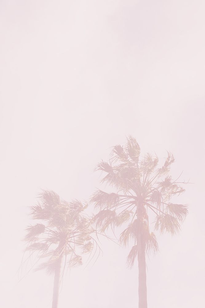 Pink Palms art print by Oju Design for $57.95 CAD