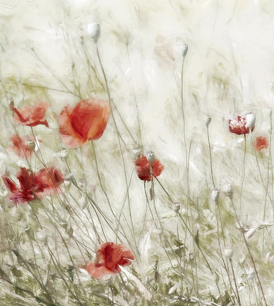 Corn Rose art print by Gilbert Claes for $57.95 CAD