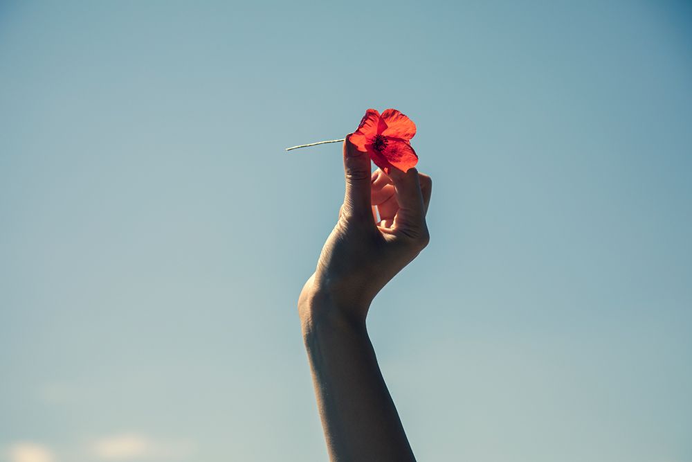 Red Flower And Blue Sky art print by Engin Akyurt for $57.95 CAD