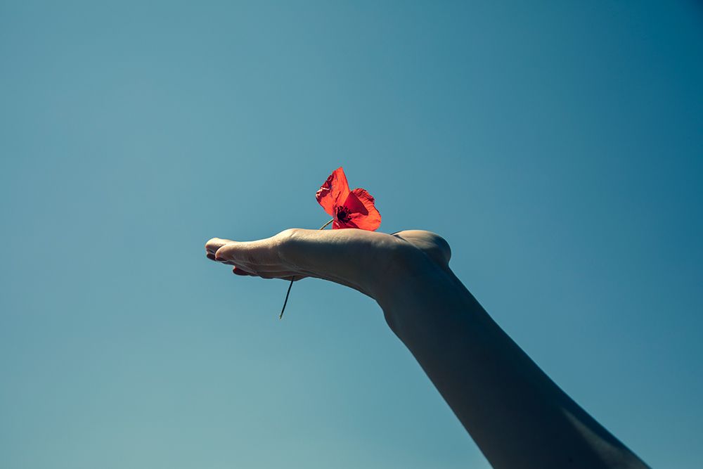 Red Flower And Blue Sky art print by Engin Akyurt for $57.95 CAD