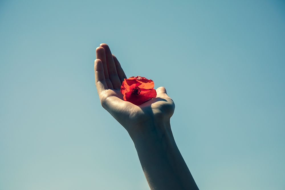 Red Flower And Blue Sky art print by Engin Akyurt for $57.95 CAD