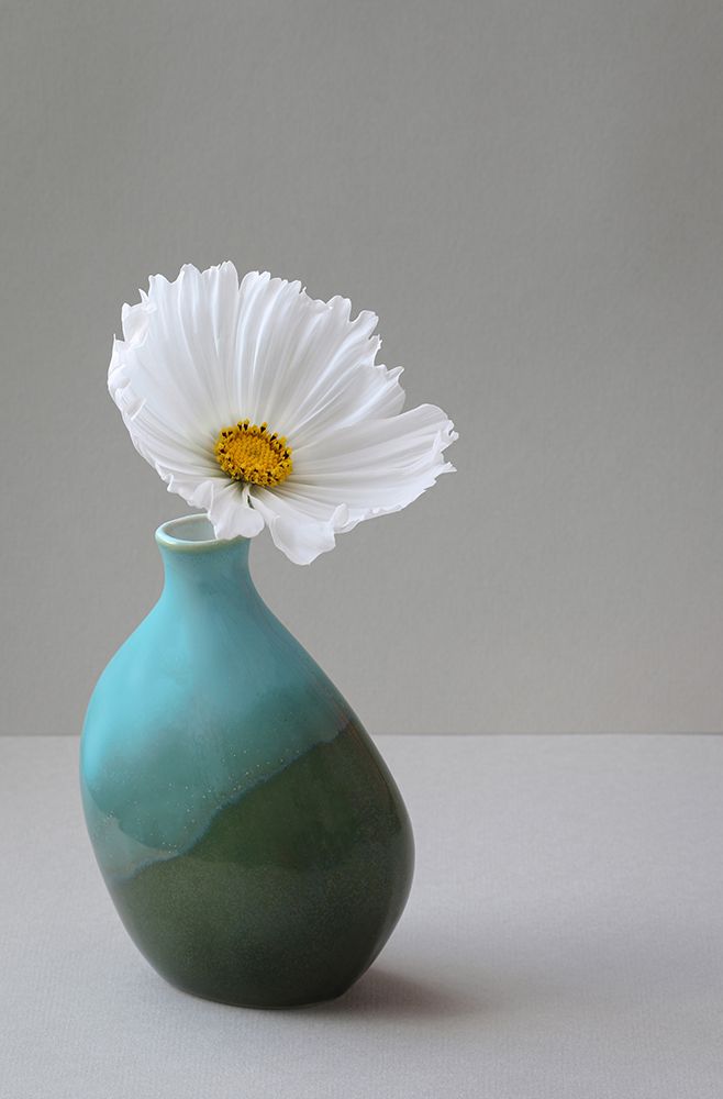 Cup Cake Cosmos Still Life art print by Alyson Fennell for $57.95 CAD