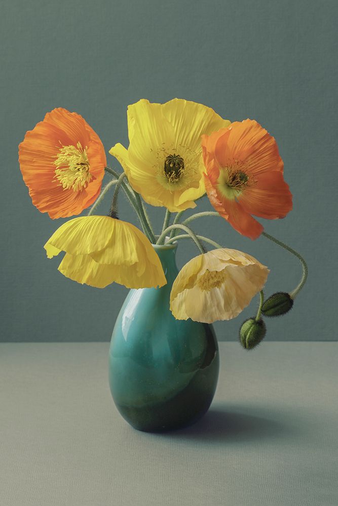 Icelandic Poppy Still Life art print by Alyson Fennell for $57.95 CAD
