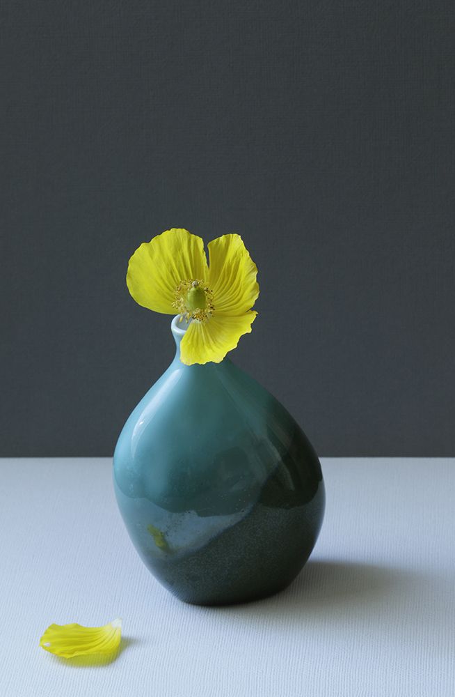 Yellow Welsh Poppy Still Life art print by Alyson Fennell for $57.95 CAD
