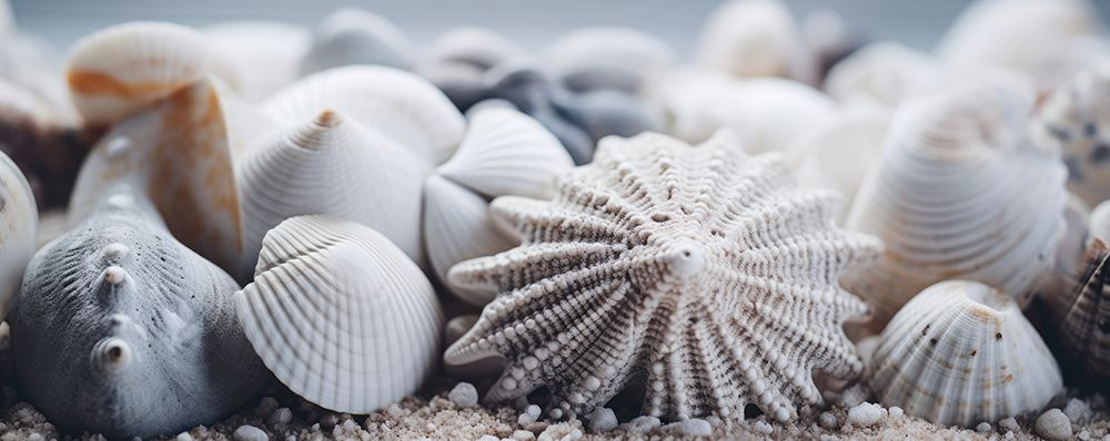 Beach Impressions No 32 art print by Treechild for $57.95 CAD