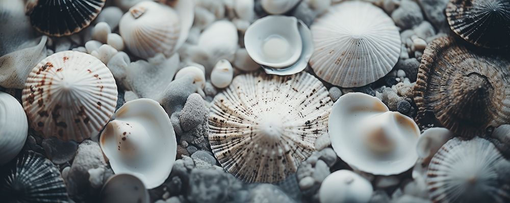 Beach Impressions No 24 art print by Treechild for $57.95 CAD