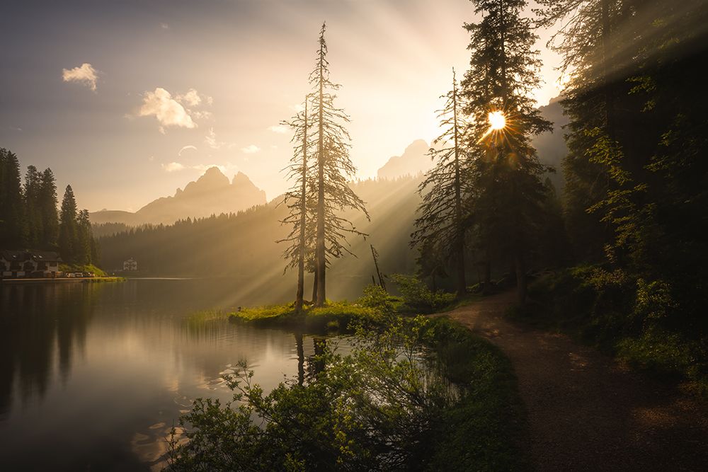 Morning Light art print by Yongnan Li for $57.95 CAD