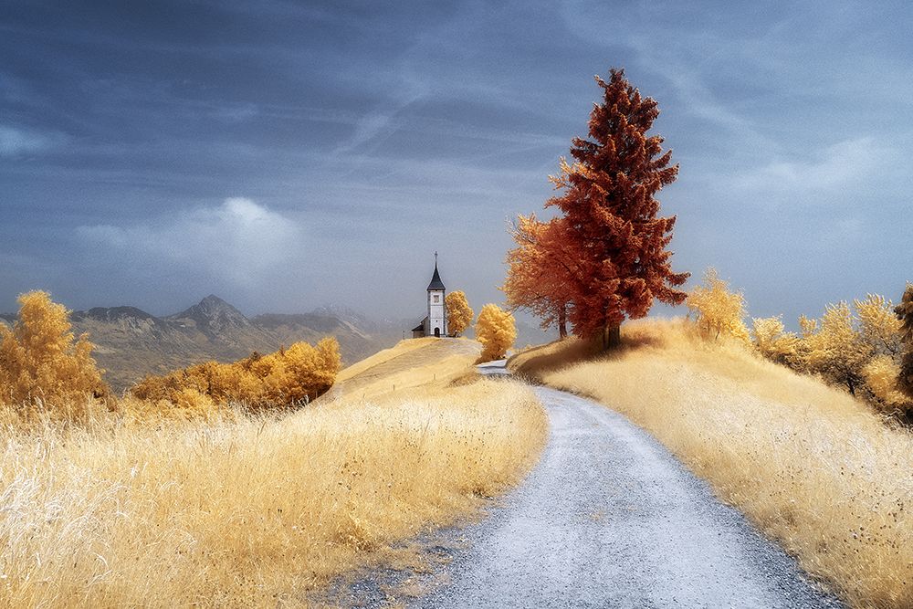 Dreamy Landscape art print by Filippo Manini for $57.95 CAD