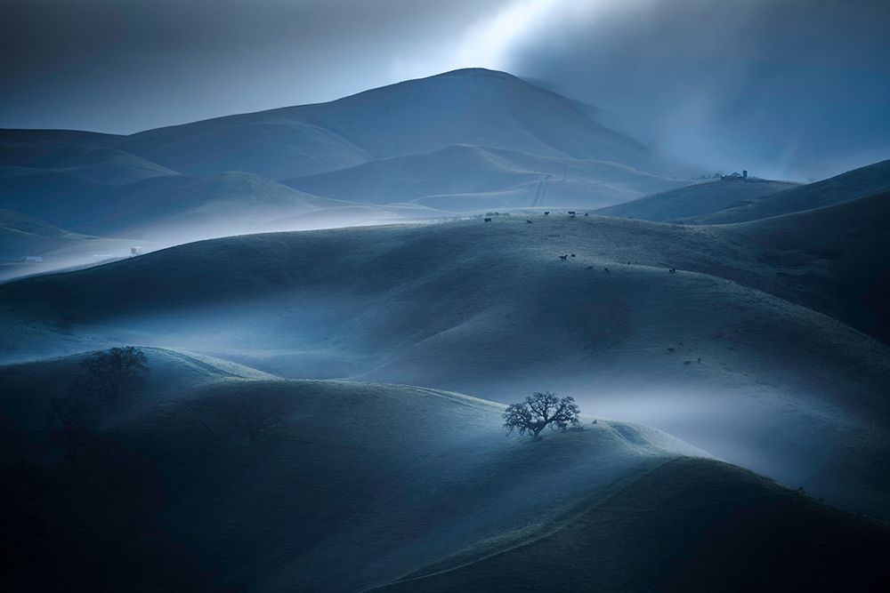 Rolling Fog art print by Jack Ou for $57.95 CAD
