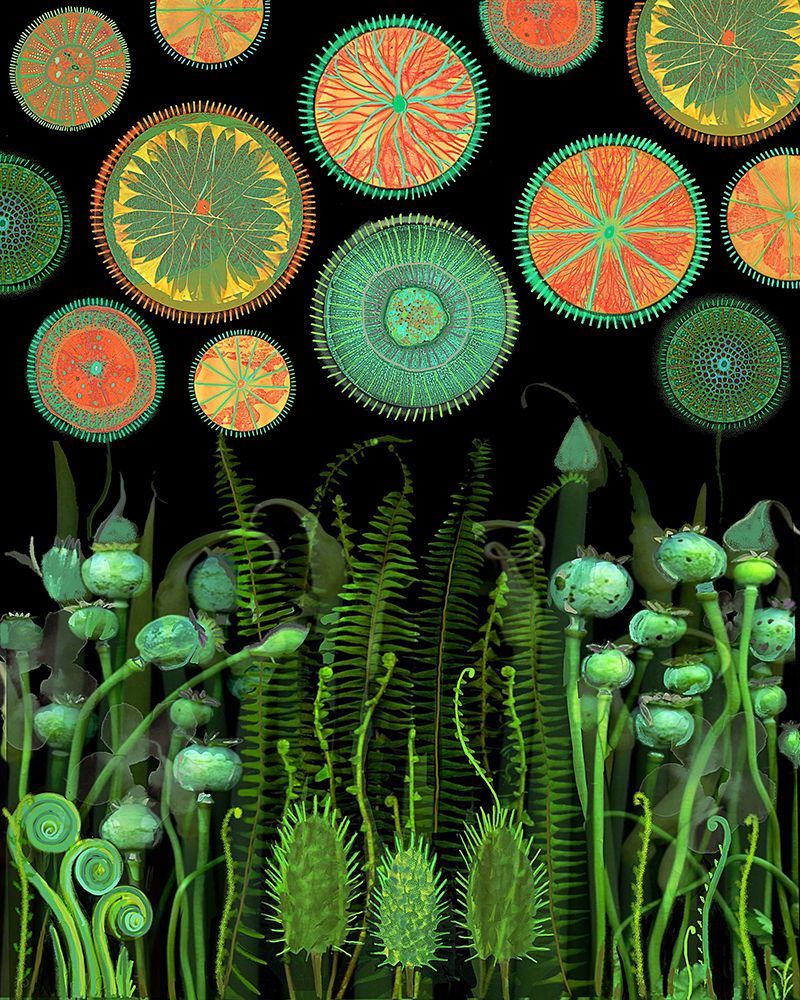 Psychedelic.png art print by Giovanna Nicolo for $57.95 CAD