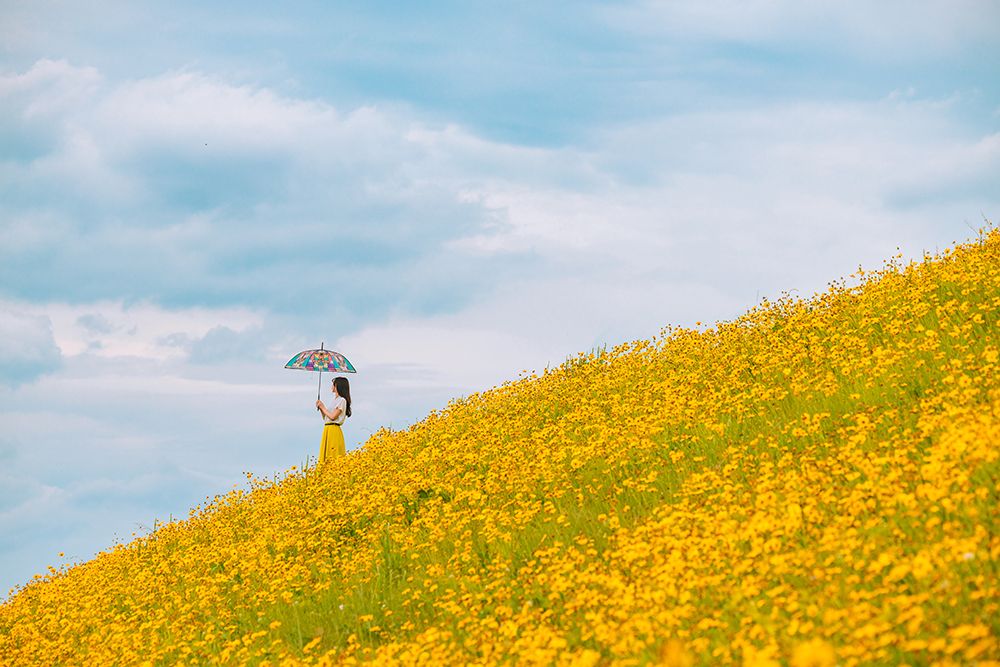 Yellow Hills. Wait For The Rain art print by Hiroshi Katsuma for $57.95 CAD