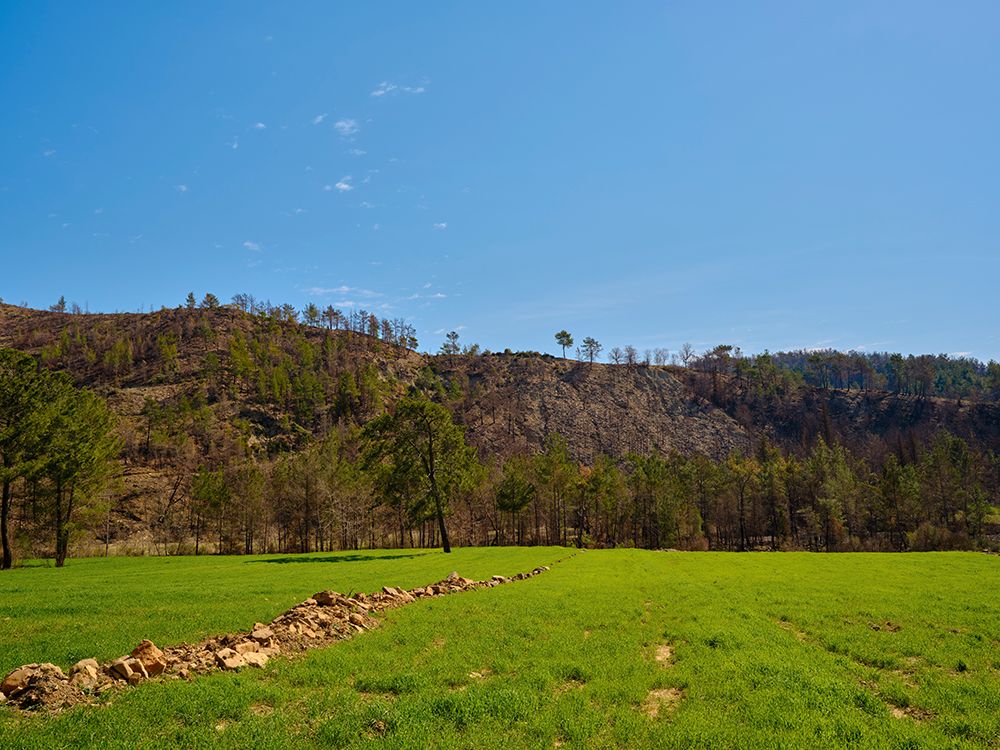 Peaceful Landscape In A Rural Place art print by Engin Akyurt for $57.95 CAD