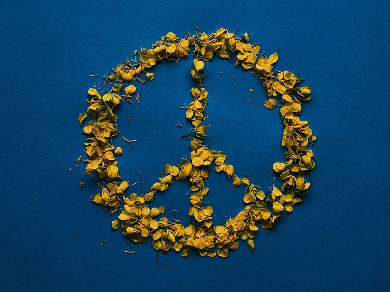 The Colors Of Ukraine And The Symbol Of Peace art print by Engin Akyurt for $57.95 CAD
