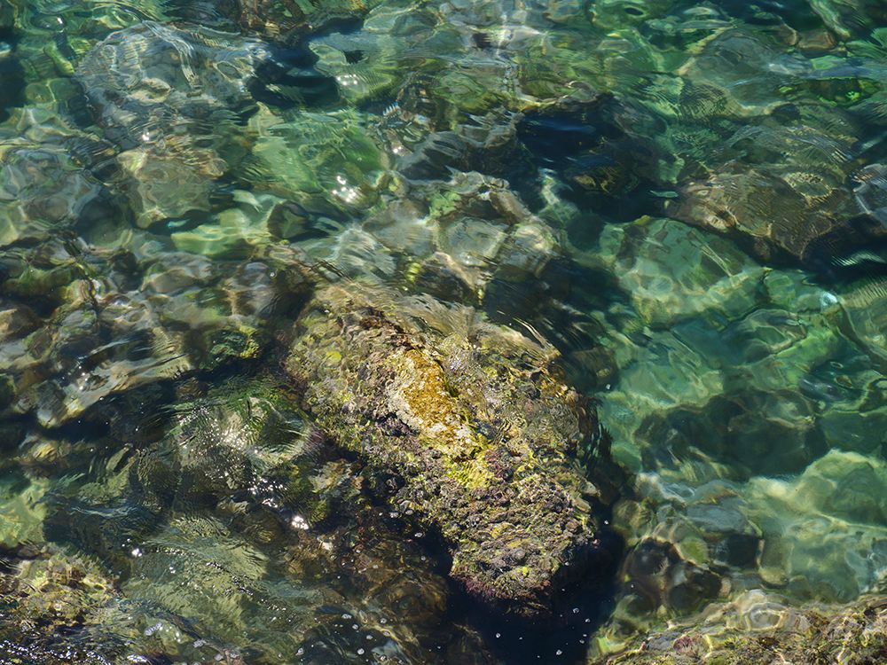 Seascape And Rocks art print by Engin Akyurt for $57.95 CAD
