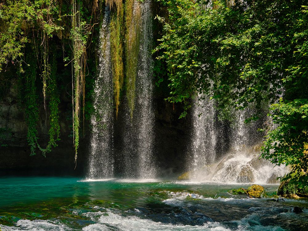 Beautiful Waterfall In The Forest art print by Engin Akyurt for $57.95 CAD