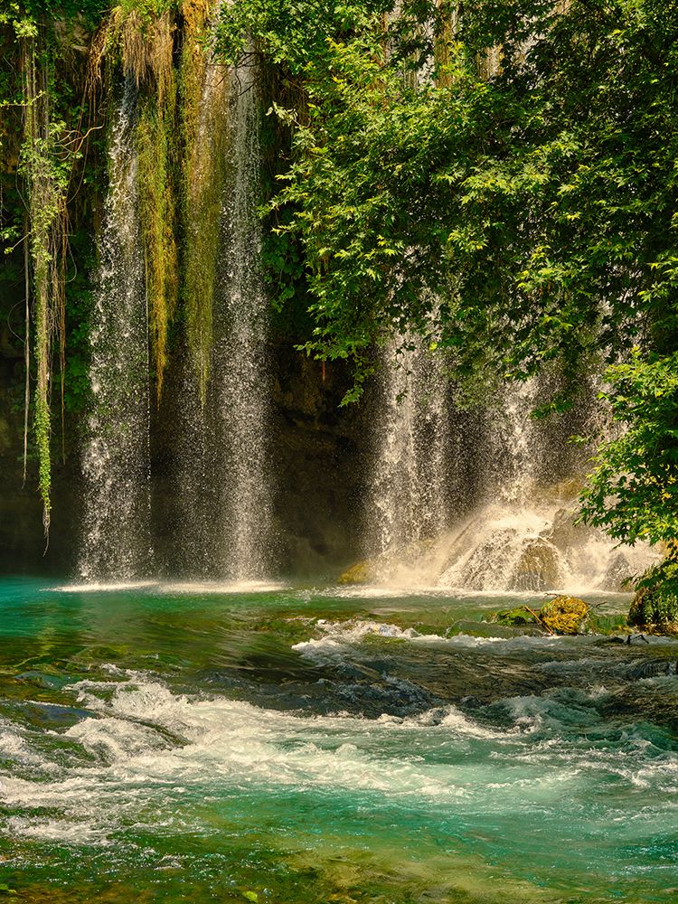 Beautiful Waterfall In The Forest art print by Engin Akyurt for $57.95 CAD