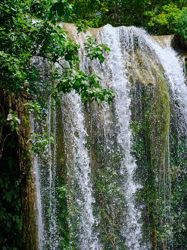 Beautiful Waterfall In The Forest art print by Engin Akyurt for $57.95 CAD